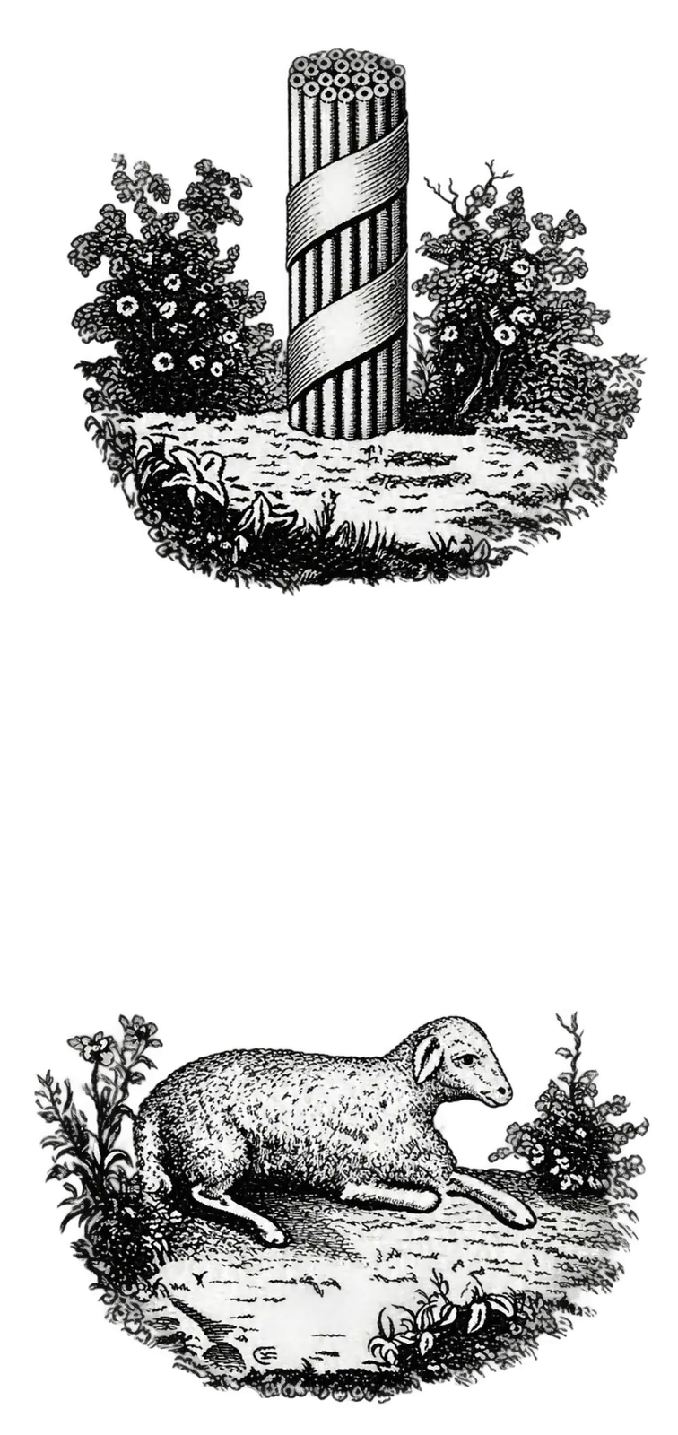 Figure: The Bundle of Sticks and the Lamb.